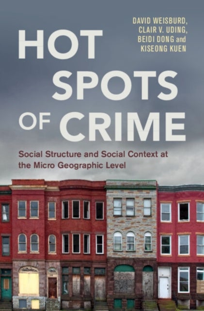 Hot Spots of Crime - Social Structure and Social Context at the Micro Geographic Level