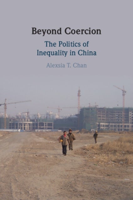 Beyond Coercion - The Politics of Inequality in China