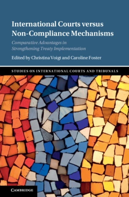 International Courts versus Non-Compliance Mechanisms - Comparative Advantages in Strengthening Treaty Implementation