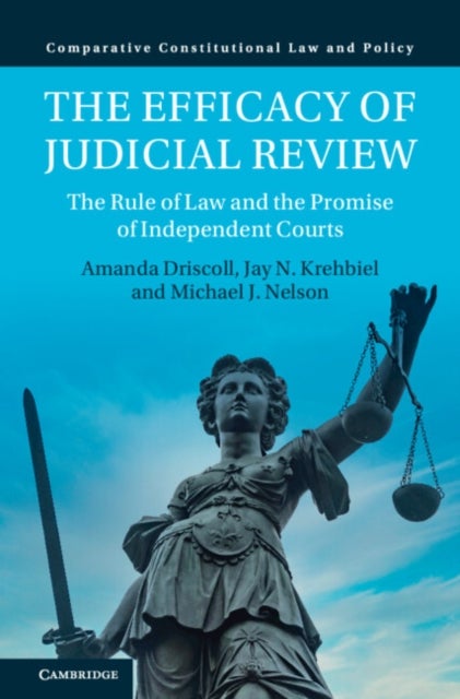 The Efficacy of Judicial Review - The Rule of Law and the Promise of Independent Courts