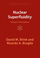 Nuclear Superfluidity