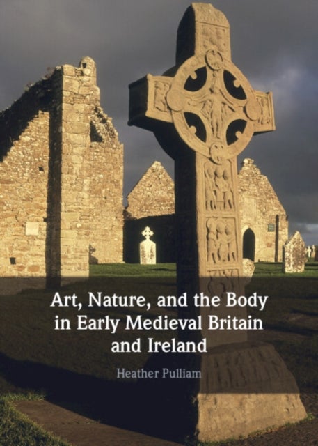 Art, Nature, and the Body in Early Medieval Britain and Ireland