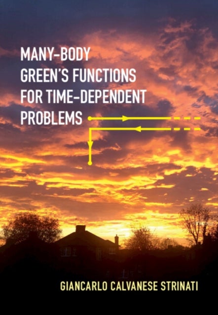 Many-Body Green's Functions for Time-Dependent Problems