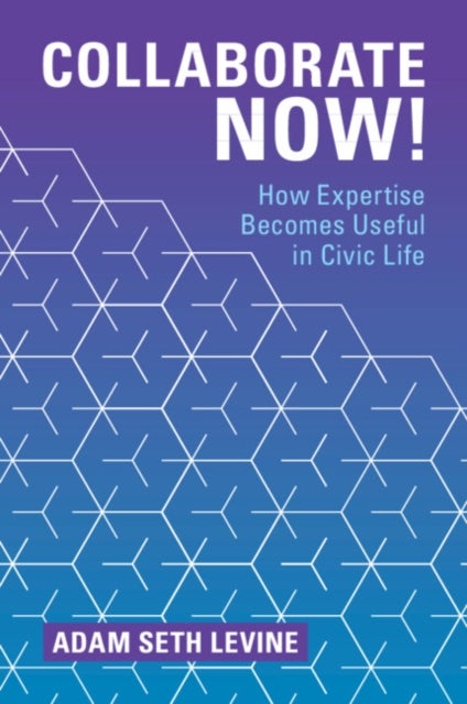 Collaborate Now! - How Expertise Becomes Useful in Civic Life