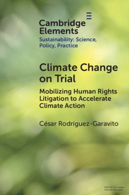 Climate Change on Trial - Mobilizing Human Rights Litigation to Accelerate Climate Action