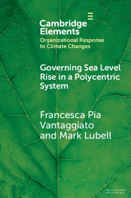 Governing Sea Level Rise in a Polycentric System - Easier Said than Done