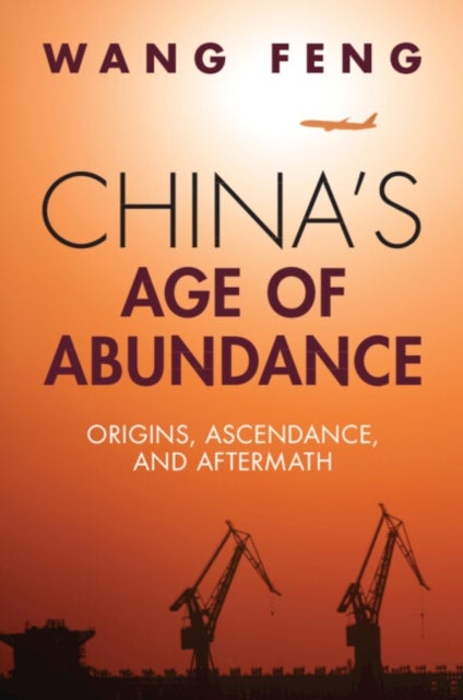 China's Age of Abundance - Origins, Ascendance, and Aftermath