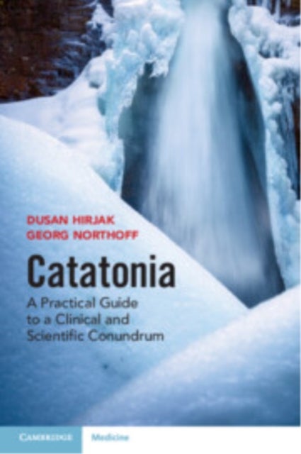 Catatonia - A Practical Guide to a Clinical and Scientific Conundrum