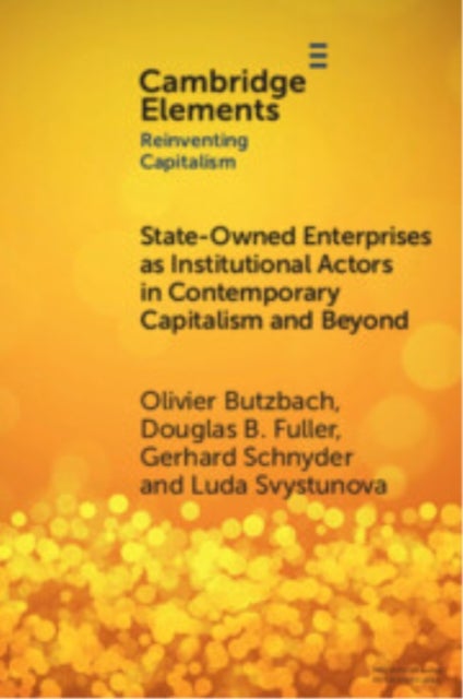 State-Owned Enterprises as Institutional Actors in Contemporary Capitalism and Beyond