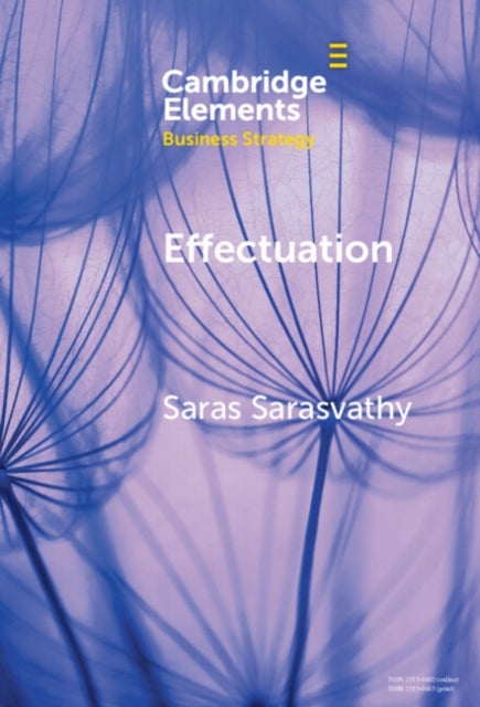 Effectuation - Rethinking Fundamental Concepts in the Social Sciences