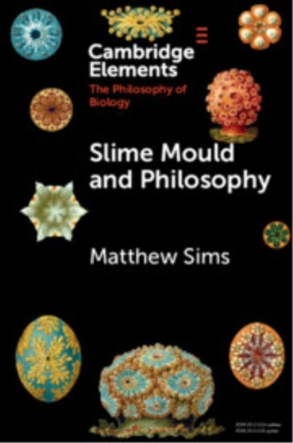 Slime Mould and Philosophy