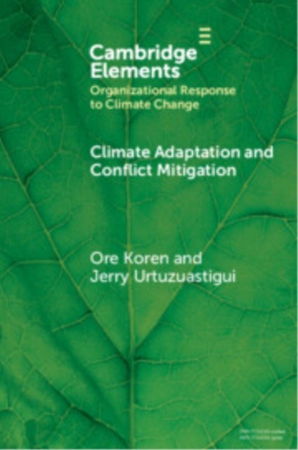 Climate Adaptation and Conflict Mitigation - The Case of South Sudan