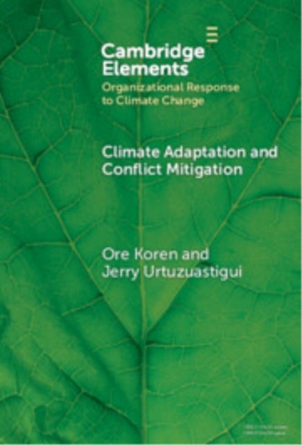 Climate Adaptation and Conflict Mitigation - The Case of South Sudan