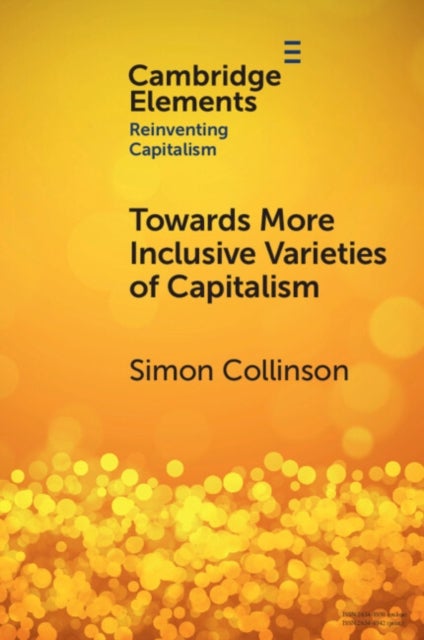 Towards More Inclusive Varieties of Capitalism