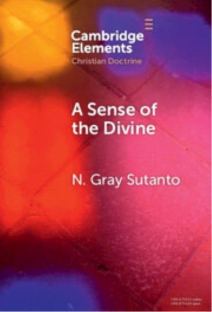 A Sense of the Divine - An Affective Model of General Revelation from the Reformed Tradition