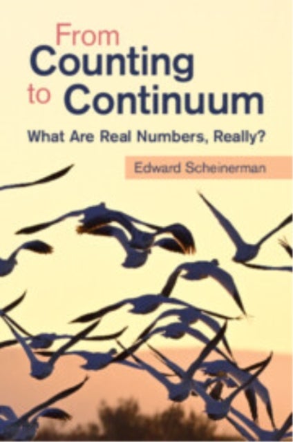From Counting to Continuum - What Are Real Numbers, Really?