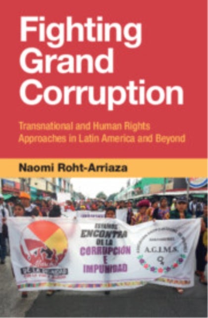 Fighting Grand Corruption - Transnational and Human Rights Approaches in Latin America and Beyond