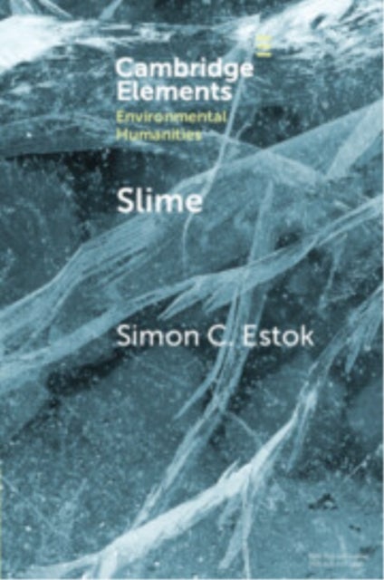 Slime - An Elemental Imaginary