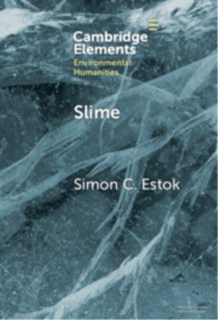Slime - An Elemental Imaginary