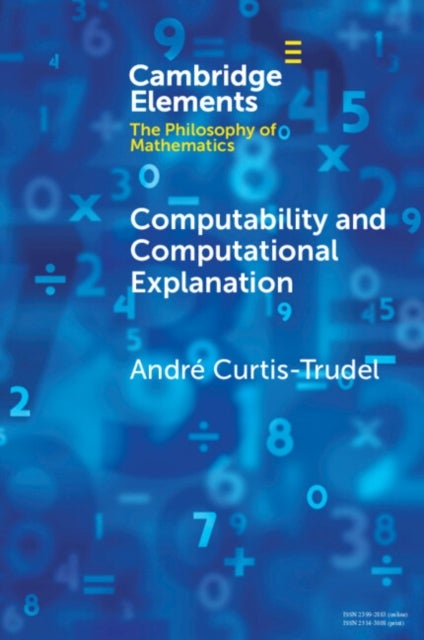 Computability and Computational Explanation