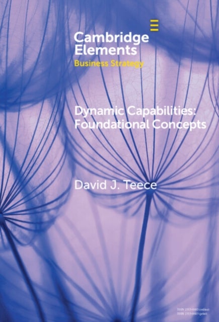 Dynamic Capabilities - Foundational Concepts