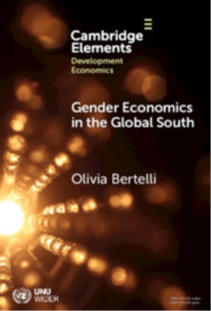 Gender Economics in the Global South