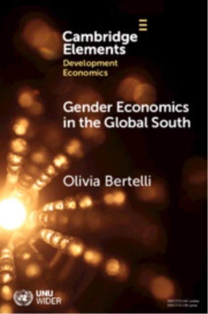 Gender Economics in the Global South