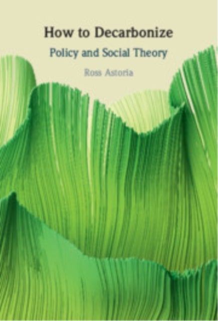 How to Decarbonize - Policy and Social Theory