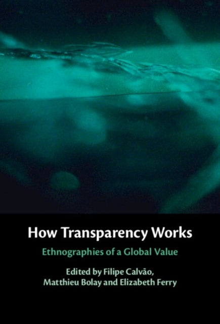 How Transparency Works - Ethnographies of a Global Value
