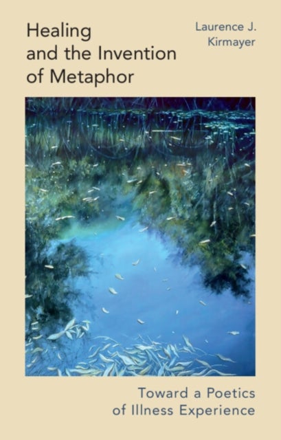 Healing and the Invention of Metaphor - Toward a Poetics of Illness Experience