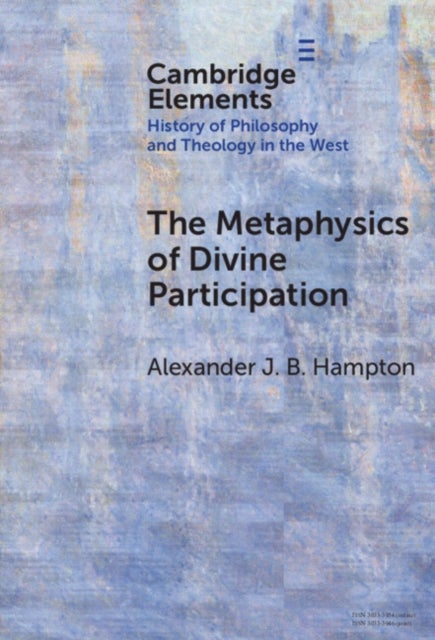 The Metaphysics of Divine Participation