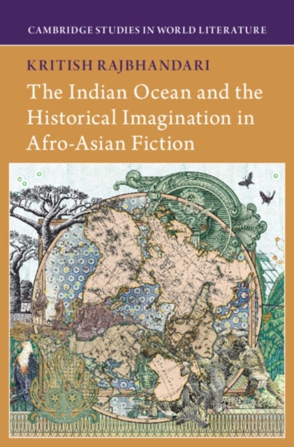 The Indian Ocean and the Historical Imagination in Afro-Asian Fiction