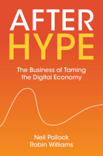 After Hype - The Business of Taming the Digital Economy