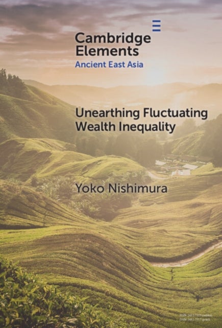 Unearthing Fluctuating Wealth Inequality