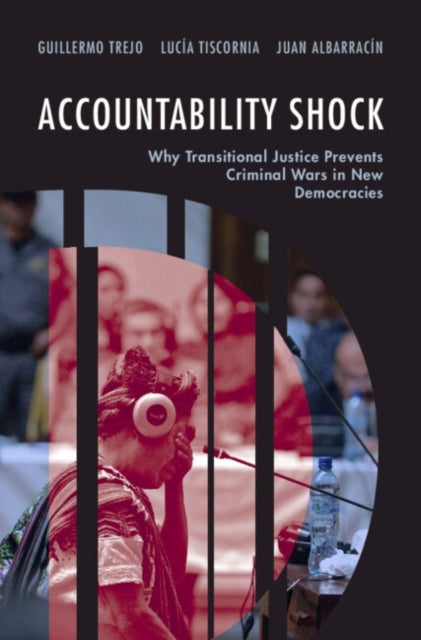 Accountability Shock - Why Transitional Justice Prevents Criminal Wars in New Democracies