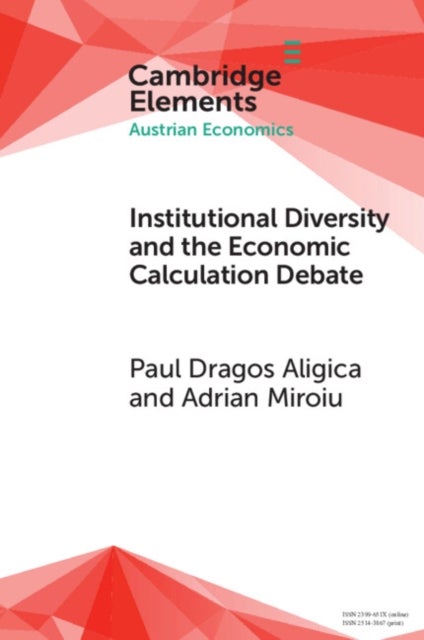 Institutional Diversity and The Economic Calculation Debate - The Feasibility Issue Revisited