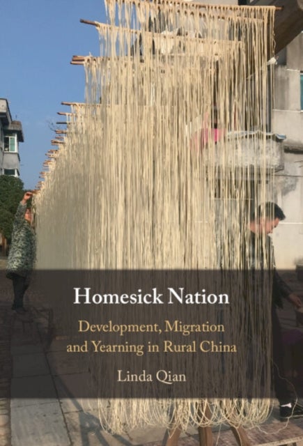 Homesick Nation - Development, Migration and Yearning in Rural China