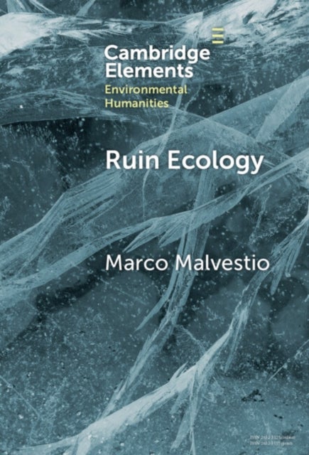 Ruin Ecology - An Exercise in Environmental Imagination