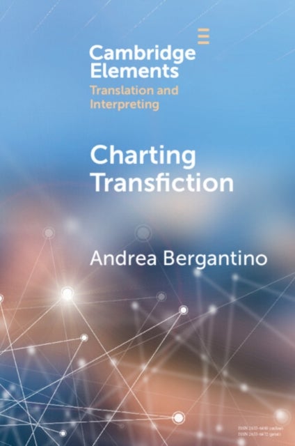 Charting Transfiction - Patterns, Open Questions, and Future Directions
