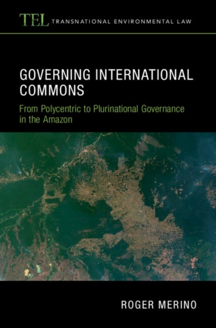 Governing International Commons - From Polycentric to Plurinational Governance in the Amazon