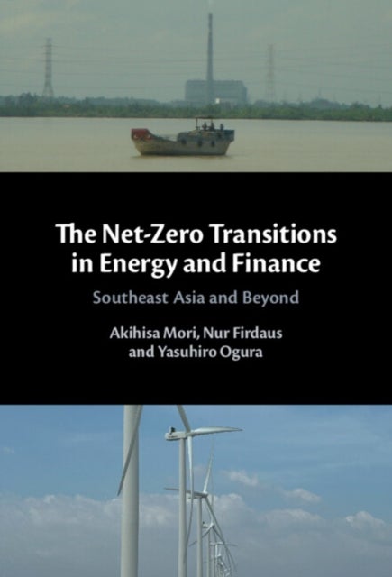 The Net-Zero Transitions in Energy and Finance - Southeast Asia and Beyond