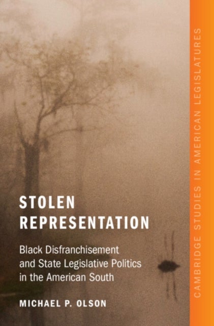 Stolen Representation - Black Disfranchisement and State Legislative Politics in the American South