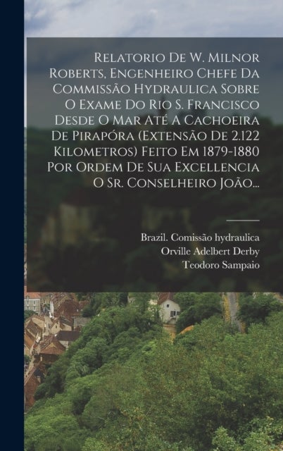 Relatorio De W. Milnor Roberts, Engenheiro Chefe Da Commissao Hydraulica Sobre O Exame Do Rio S. Fra