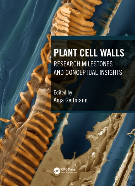 Plant Cell Walls - Research Milestones and Conceptual Insights