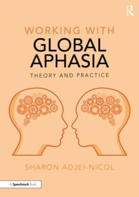 Working with Global Aphasia - Theory and Practice