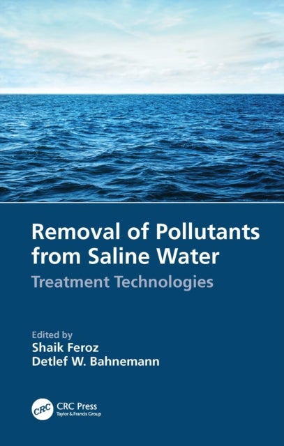 Removal of Pollutants from Saline Water - Treatment Technologies
