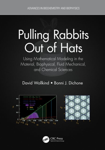 Pulling Rabbits Out of Hats - Using Mathematical Modeling in the Material, Biophysical, Fluid Mechanical, and Chemical Sciences