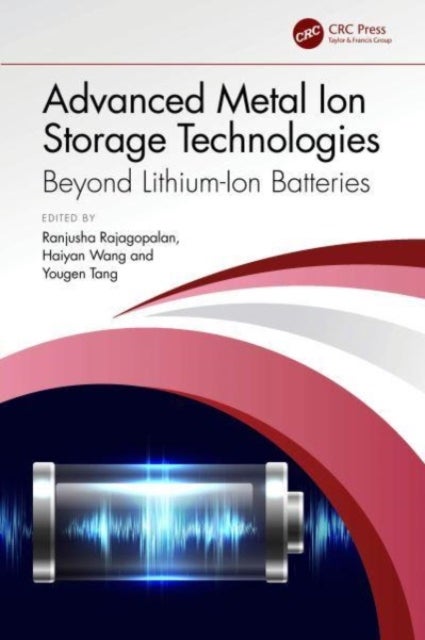 Advanced Metal Ion Storage Technologies - Beyond Lithium-Ion Batteries