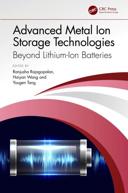 Advanced Metal Ion Storage Technologies - Beyond Lithium-Ion Batteries