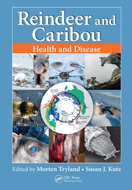 Reindeer and Caribou - Health and Disease